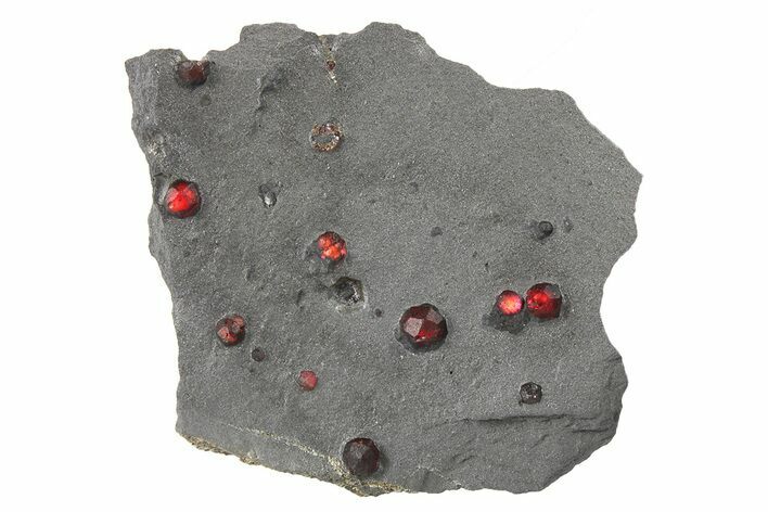 Plate of Ten Red Embers Garnets in Graphite - Massachusetts #272743